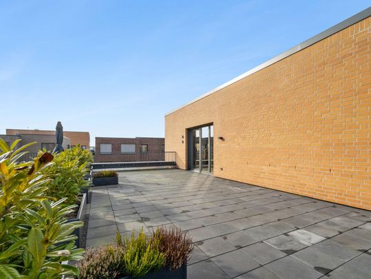 Wohntraum mit Dachterrasse: 3-Zimmer Wohnung im Arnikaweg! - Photo 1