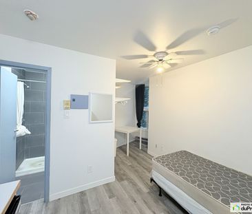 1024, rue Sherbrooke Est, Ville-Marie (Centre-Ville et Vieux-Montré... - Photo 3