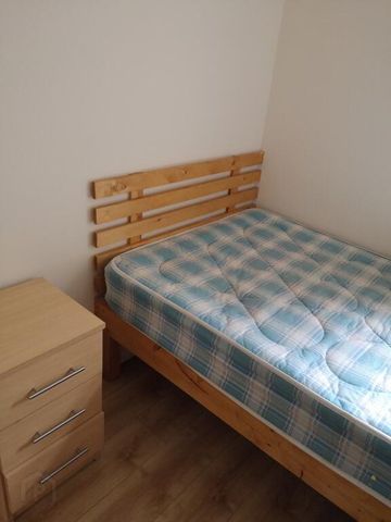 46 Palestine Street, Belfast, BT7 1QJ - Photo 5