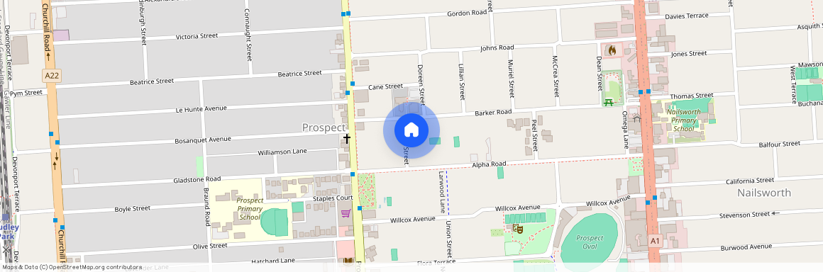 3 Priscilla Street, SA 5082, Prospect