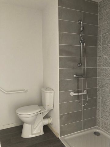 Location Appartement 1 pièce 19m² AUZEVILLE TOLOSANE 31320 - Photo 3