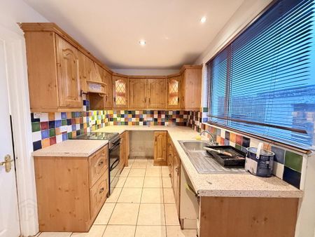 3 Daisy Hill, Randalstown, BT41 3BZ - Photo 4