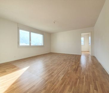 2.5 Zimmer, 50 m², 1. Stock - Photo 1