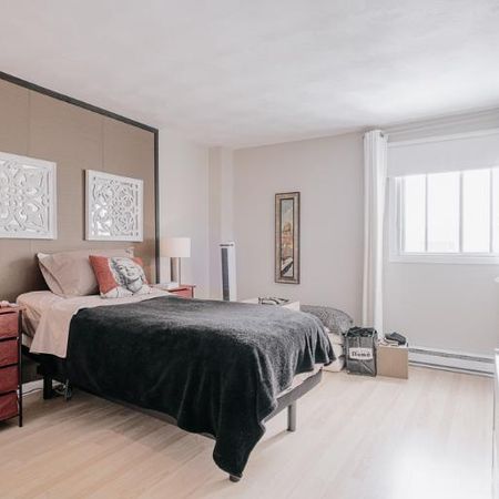 Appartement 3 ½ à louer Sainte-Foy / Sillery juillet 2026 - Photo 3