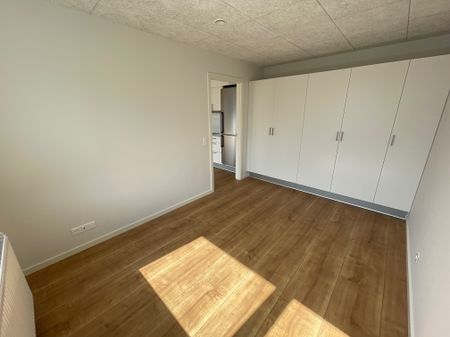 NYTORV 2,205. 6000 KOLDING – LEJLIGHED MED ALTAN I SENIORBOFÆLLESSKAB MED FÆLLESHUS - Photo 5