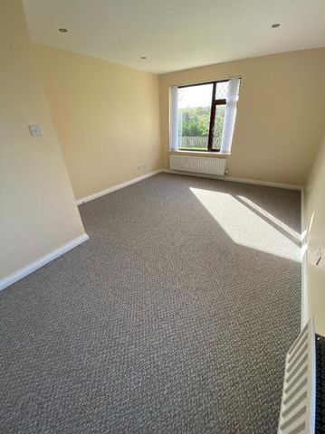 29a Drumnaconagher Road, Crossgar, Downpatrick, BT30 9JQ - Photo 5