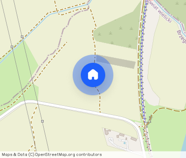 Pokój jednoosobowy z prywatną łazienką Przewóz- Rybitwy - Zdjęcie 1