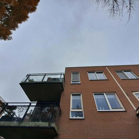 Groen van Prinsterersingel 19 - Foto 4