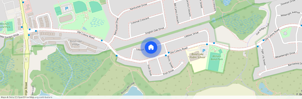 51 LEBOVIC DRIVE, Richmond Hill, Oak Ridges Lake Wilcox