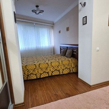 2 camere zona Dambul Rotund - Photo 3
