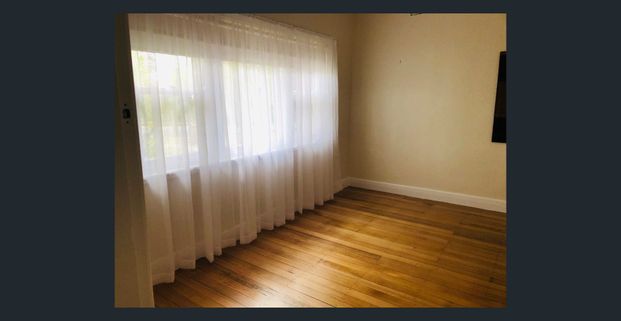 292 Walsh Street, East Albury, NSW 2640 - Photo 1