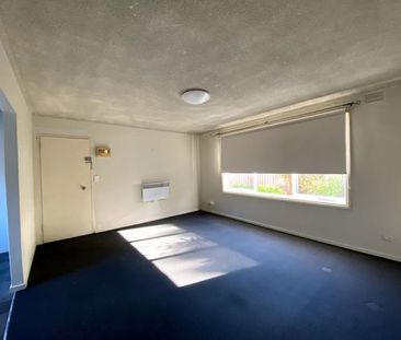 Large Updated Apartment - Photo 2