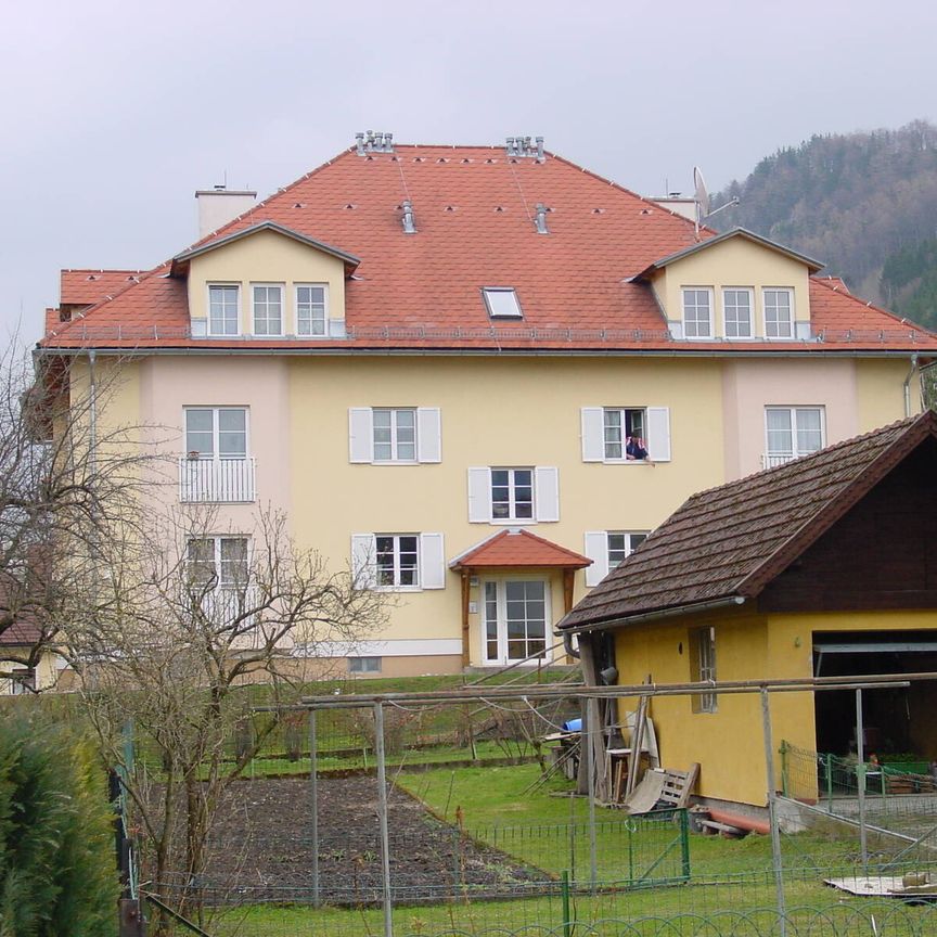 3213 Frankenfels, Markt 119-120 - Photo 2