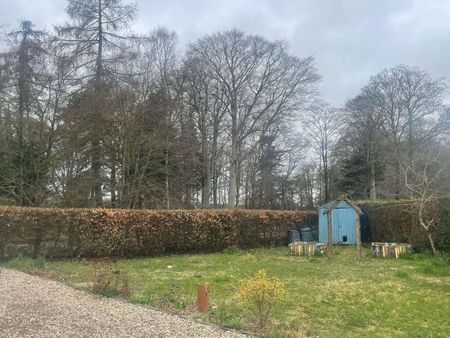 4 Cadgers Path is a charming semi-detached single story rural cottage, situated 1.1 miles from the picturesque village of Tannadice. - Photo 5