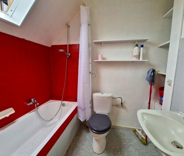 Location Appartement 1 pièce 20m² DINGSHEIM 67370 - Photo 2