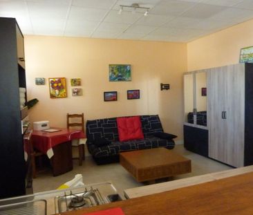 Location Appartement 1 pièce 40m² LATHUS ST REMY 86390 - Photo 1