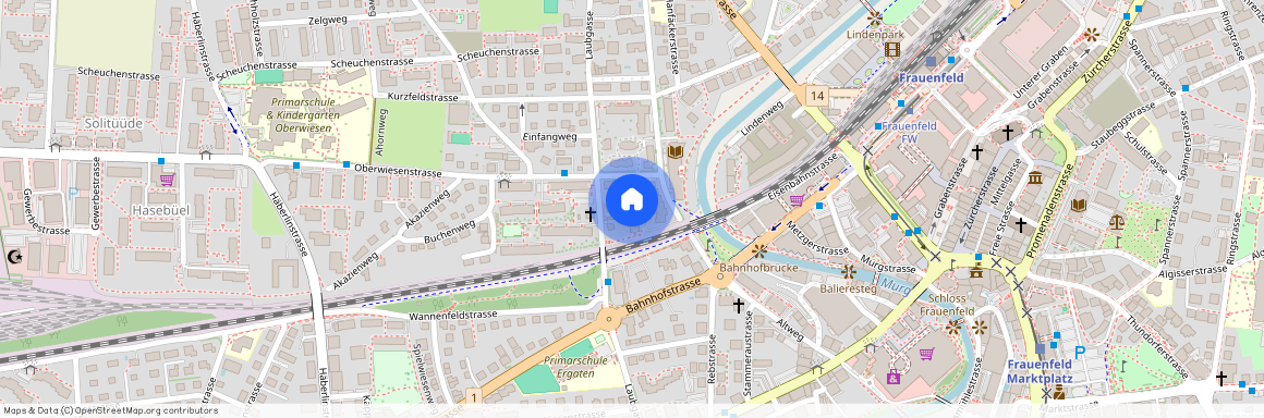 Oberwiesenstrasse 3 8500 Frauenfeld