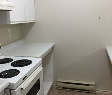 For Lease - 428 George Street Unit# 2, Peterborough Central, Ontario - Photo 5