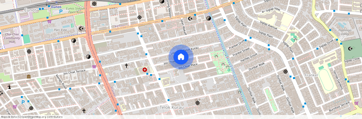 Joo Chiat Avenue, Singapore