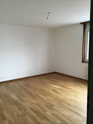 Chemin des Carabiniers 5, 3.5 rooms on the 7th floor South - Photo 1