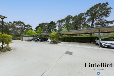 41/35 Tay Street, Watson ACT 2602 - Apartment For Rent | Domain - Photo 5