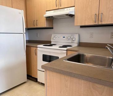 STUDIO IN VAN, CLOSE TO JOYCE SKYTRAIN STATION FOR RENT - Photo 3