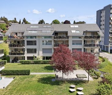 3.5 Zimmer, 100 m², EG - Photo 4