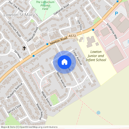 KINGS AVENUE, LOWTON