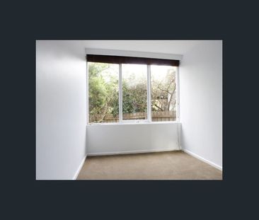 Light filled two bedroom spacious unit - Photo 3