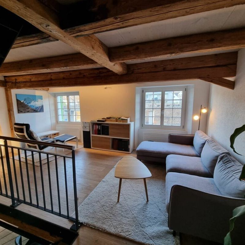 Neugut 3 Zimmer Loft Wohnung - Photo 2