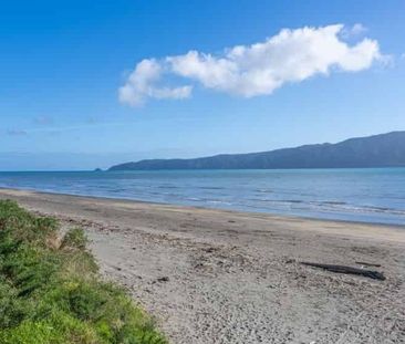 Beach Front Property - Photo 3