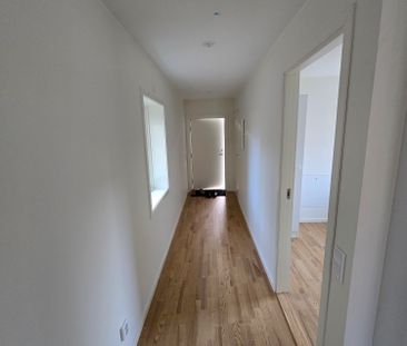 Mollavägen, Ljung - Foto 3