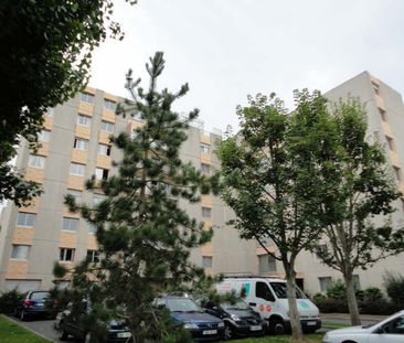 Location Appartement 1 pièce 29m² - Photo 4