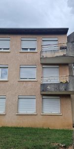Location Appartement 1 pièce 30m² PONT DE CHERUY 38230 - Photo 3