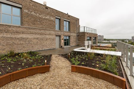 Te huur: Cees Sipkeslaan 434 - Photo 3