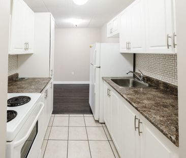 🏡 1 Bedroom - Photo 4