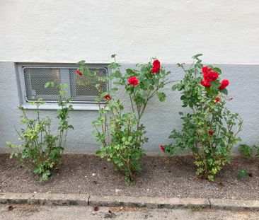 Petrejusvägen, Johanneshov - Photo 1