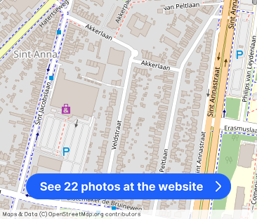 Tijdelijk; Ruime gemeubileerde woning aan de Veldstraat te Nijmegen - Photo 1