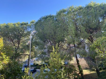 BOUTONNET - T3 - 64.98 M² - Photo 4