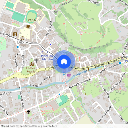 Chemin du Perruet 43 1880 Bex