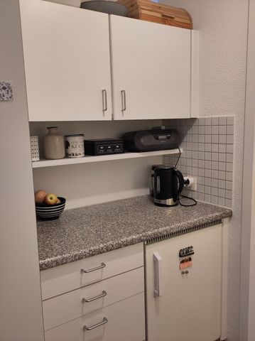 ONLY FOR ONE PERSON IN BERN, FURNISHED, TEMPORARY - Photo 5