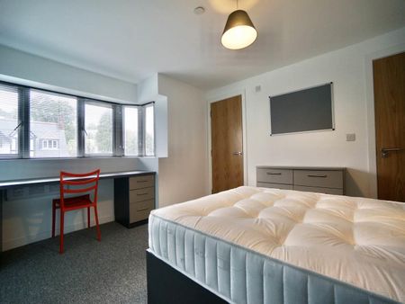 Apartment 2, 14 Deiniol Road - Photo 4