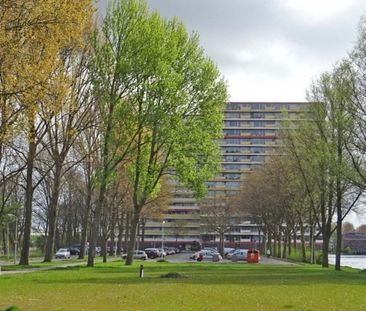 Oost Dorsch 0ong, 1504 Zaandam, Nederland - Foto 1