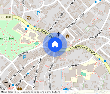 Großzügige 2,5-Zimmer-Erdgeschosswohnung in ruhiger Innenstadtlage - Foto 1