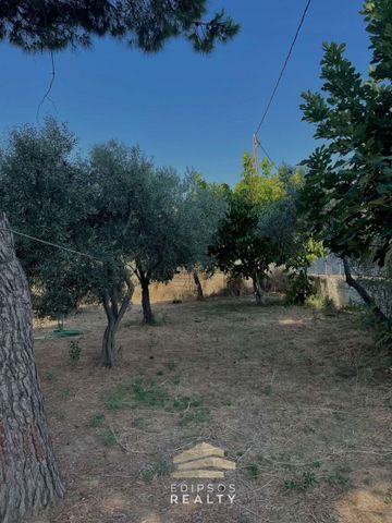Μονοκατοικία για ενοικίαση Παραλία Αγίου Νικολάου (Αιδηψός) - Φωτογραφία 4