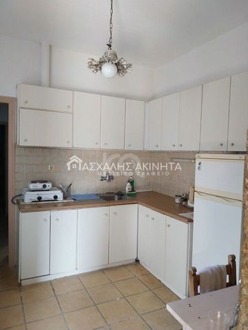 Μονοκατοικία για ενοικίαση Μυρτιά (Νίκος Καζαντζάκης) - Photo 5