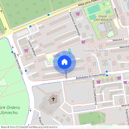 ul. Leszka Białego, Powstańców Śląskich, Piastów-Powstańców Śląskich, Kędzierzyn-Koźle, kędzierzyńsko-kozielski, opolskie