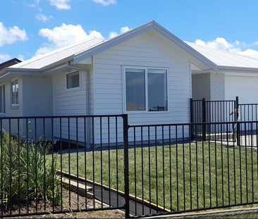 4 years old beautiful, fully fenced in Omokoroa - Photo 1