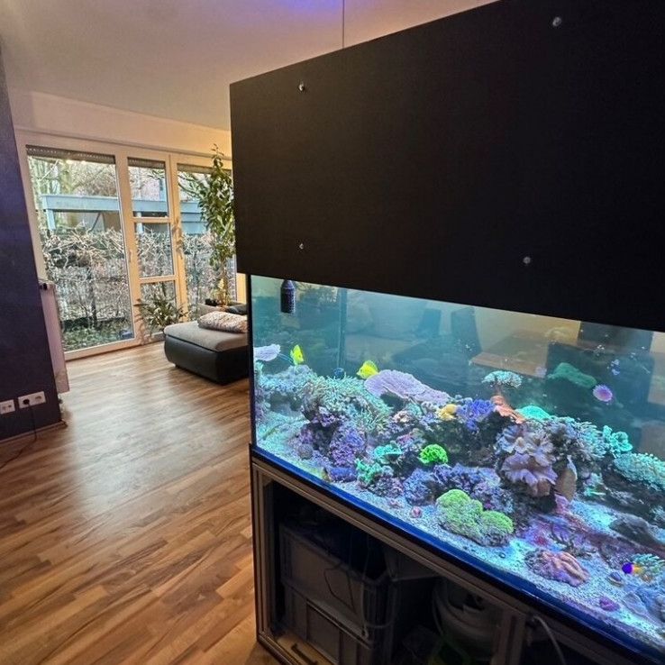 Erdgeschosswohnung in Emsdetten! - Photo 1