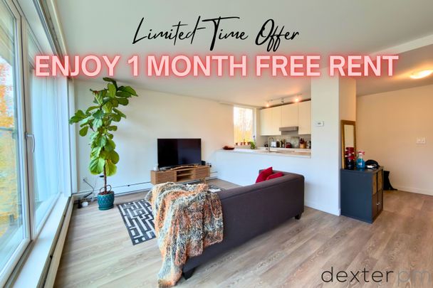 1215 Beach Ave #405 - Photo 1